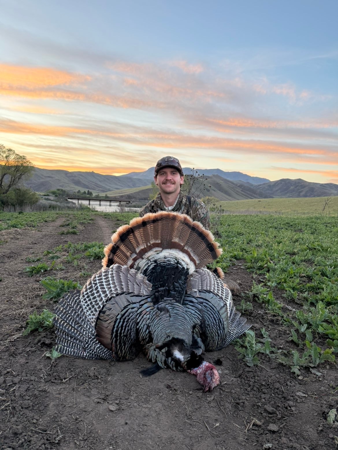 Hunter calling turkey in the woods